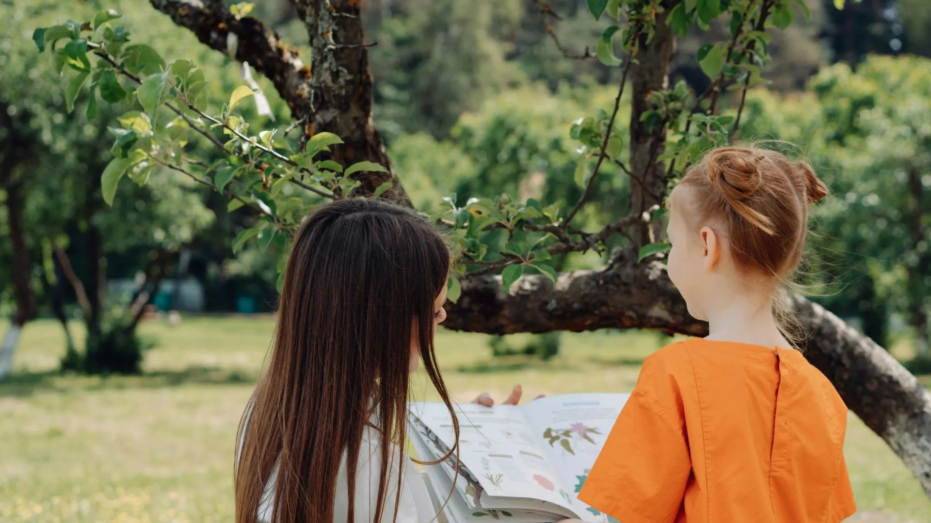 Homeschool background